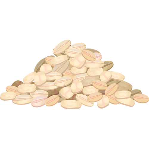 Ingredient 4